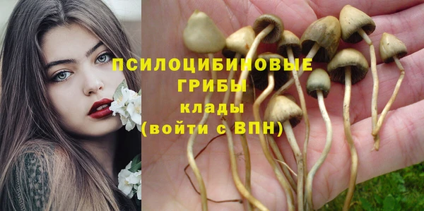 MDMA Алексеевка