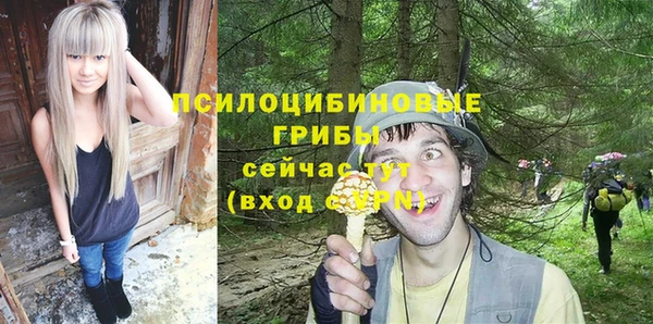 МДПВ Алексин