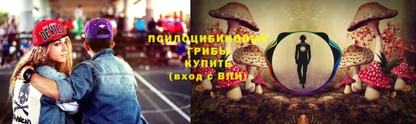 а пвп мука Алзамай