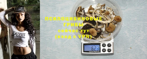 МДПВ Алексин