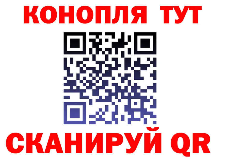 Альфа ПВП СК вход площадка omg Карабулак