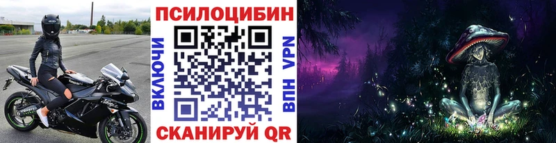 Галлюциногенные грибы MAGIC MUSHROOMS  купить наркоту  Карабулак 